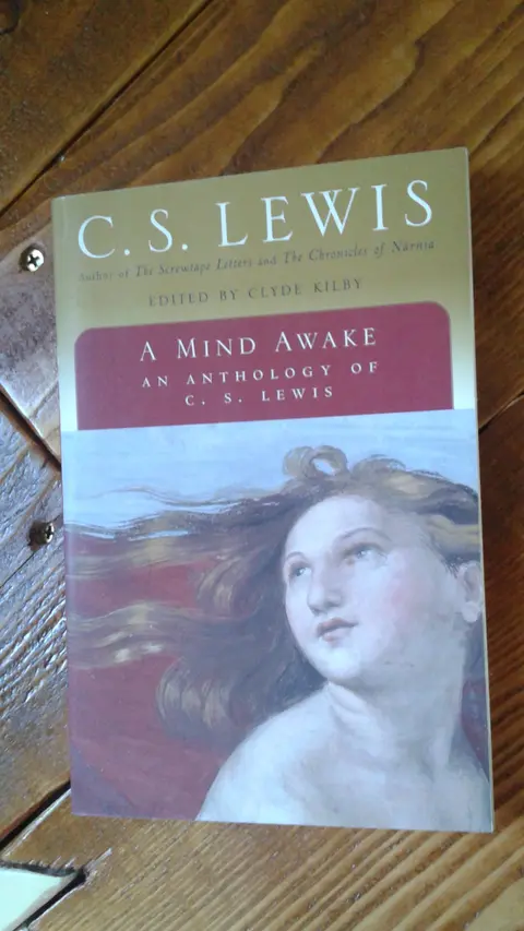 Cover of A Mind Awake