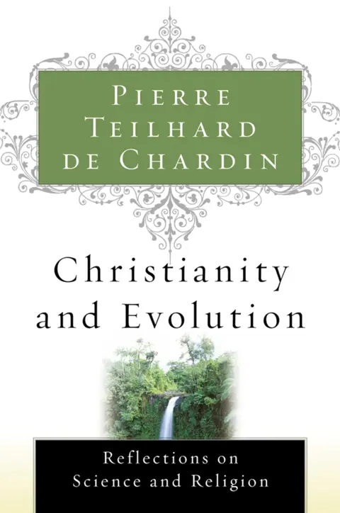 Cover of Christianity and Evolution