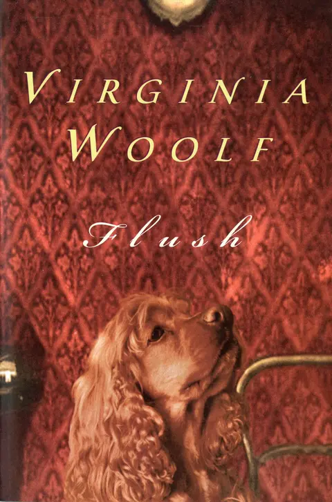 Cover of Flush