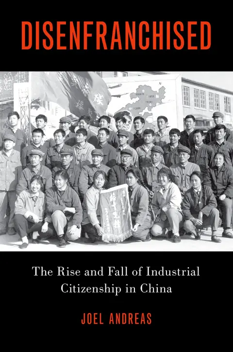 Cover of Disenfranchised