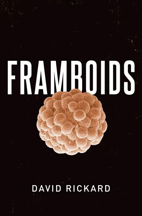 Cover of Framboids