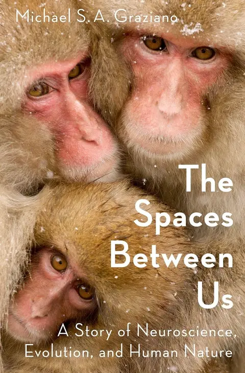 Cover of The Spaces Between Us