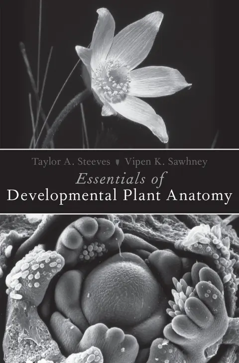 Cover of Essentials of Developmental Plant Anatomy
