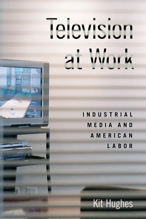 Cover of Television at Work