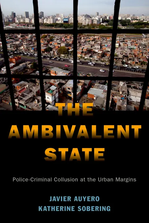 Cover of The Ambivalent State