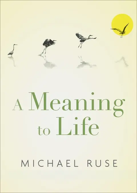 Cover of A Meaning to Life