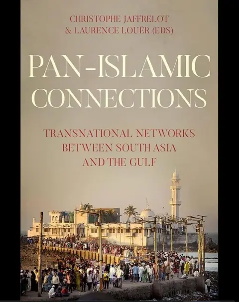 Cover of Pan-Islamic Connections
