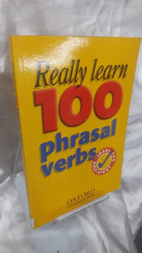 Cover of Really Learn 100 Phrasal Verbs