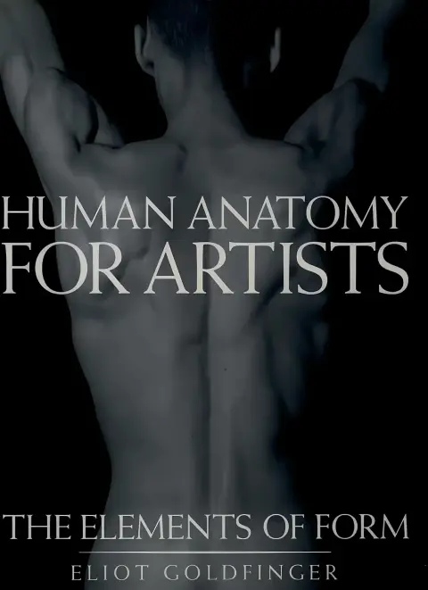Cover of Human Anatomy for Artists