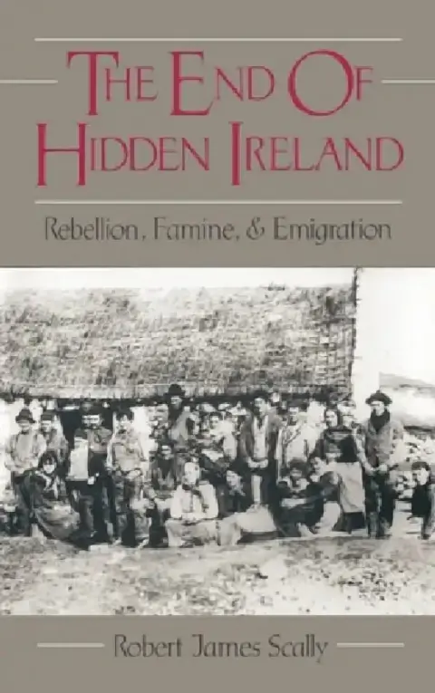 Cover of The End of Hidden Ireland
