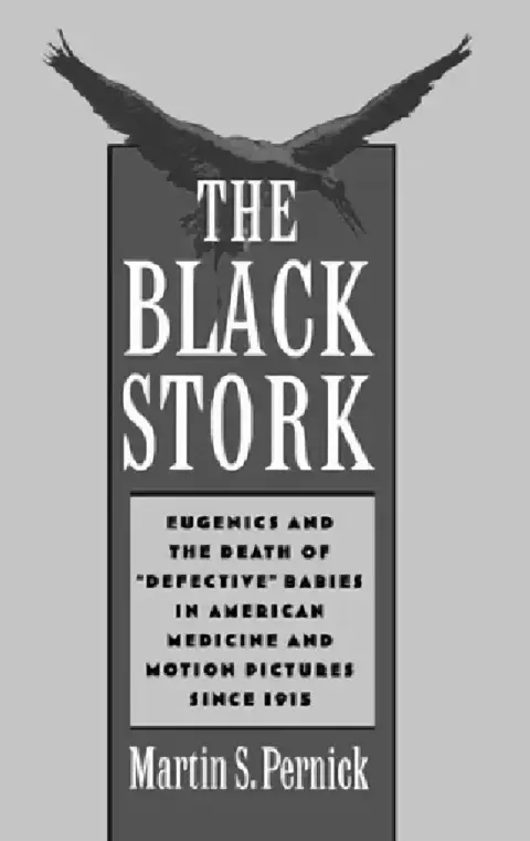 Cover of The Black Stork