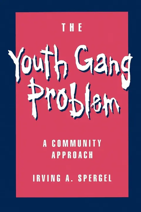 Cover of The Youth Gang Problem
