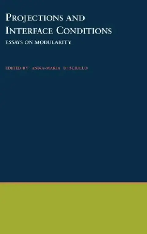 Cover of Projections and Interface Conditions