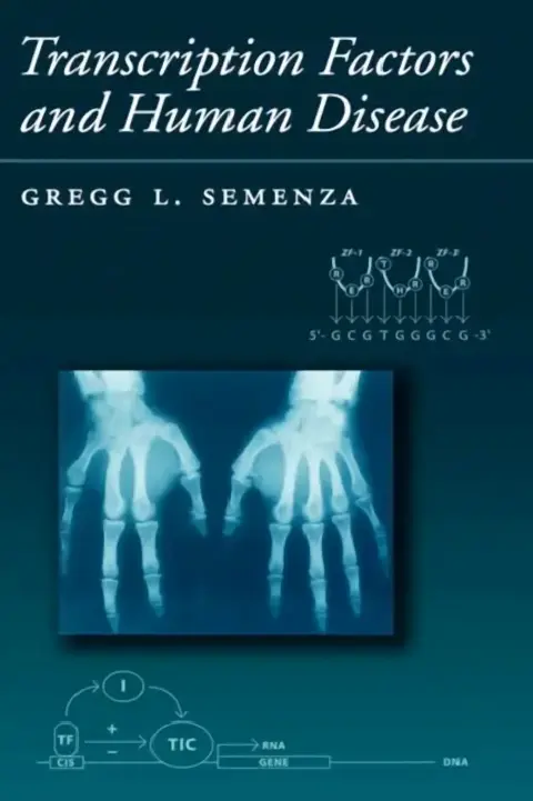 Cover of Transcription Factors and Human Genetic Disease