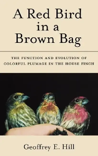 Cover of A Red Bird in a Brown Bag