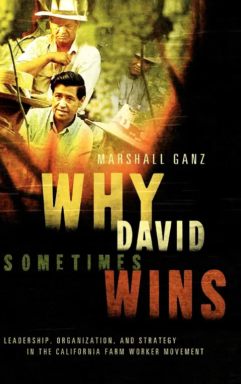 Cover of Why David Sometimes Wins
