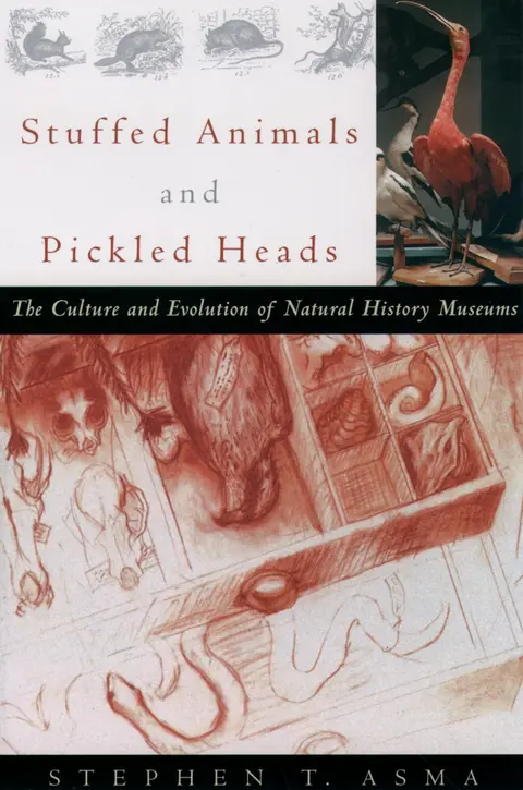 Cover of Stuffed Animals & Pickled Heads