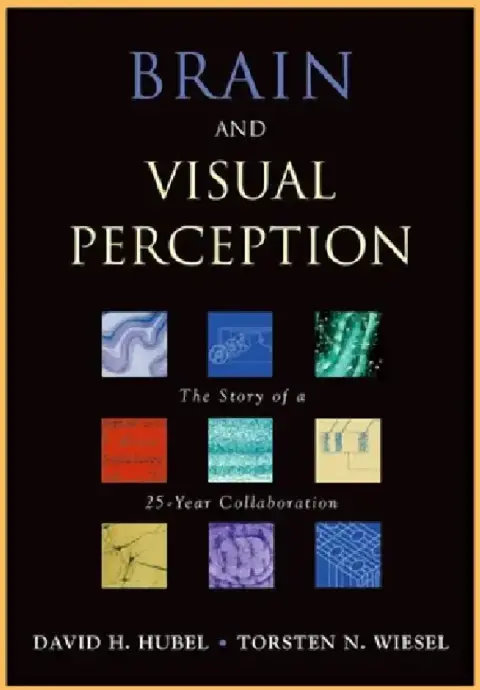 Cover of Brain and Visual Perception