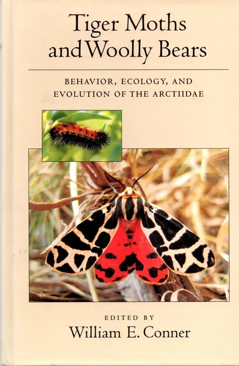Cover of Tiger Moths and Woolly Bears