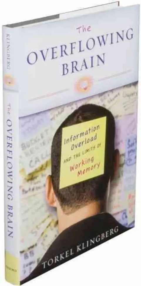 Cover of The Overflowing Brain