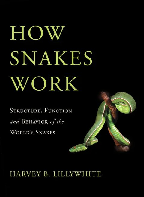 Cover of How Snakes Work