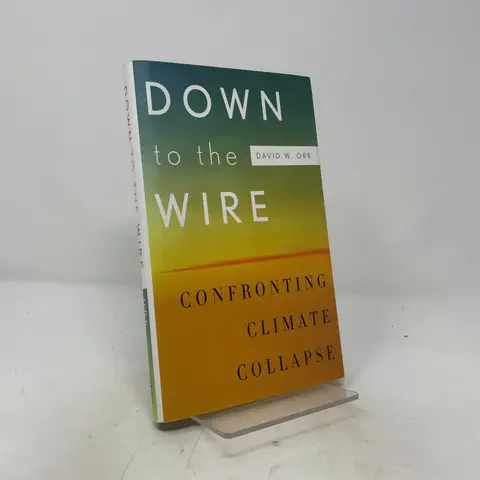 Cover of Down to the Wire