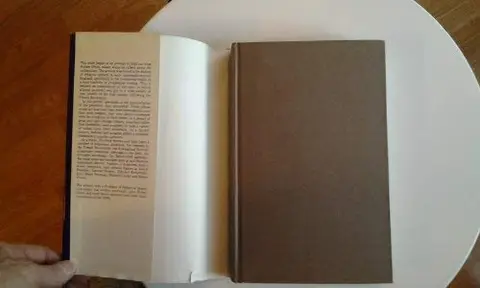 Cover of Prophets and Millennialists