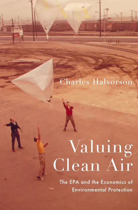 Cover of Valuing Clean Air
