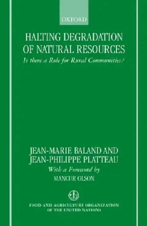 Cover of Halting Degradation of Natural Resources