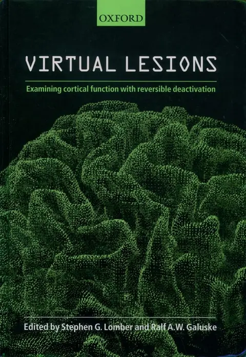 Cover of Virtual Lesions