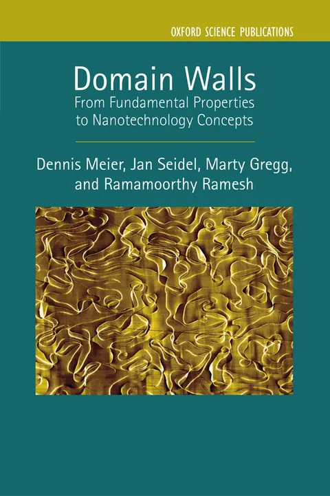 Cover of Domain Walls