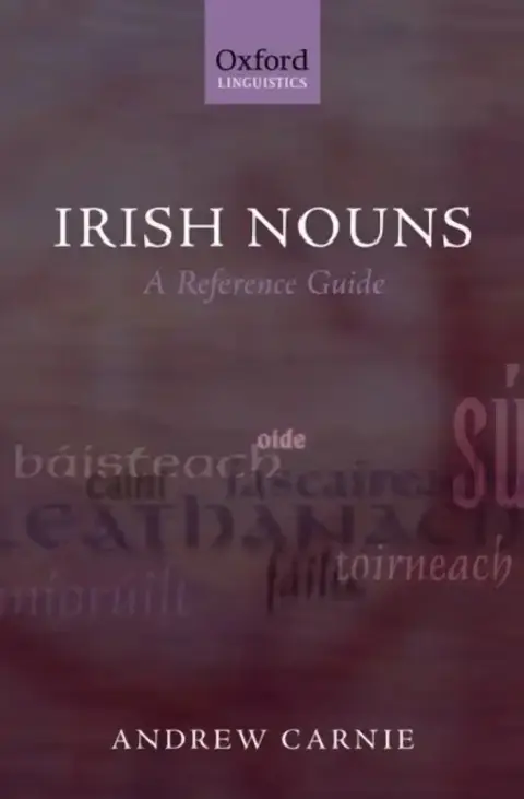Cover of Irish Nouns