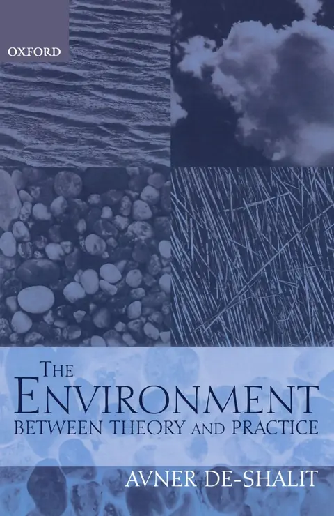 Cover of The Environment Between Theory and Practice