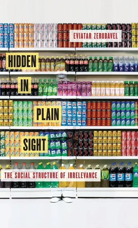 Cover of Hidden in Plain Sight
