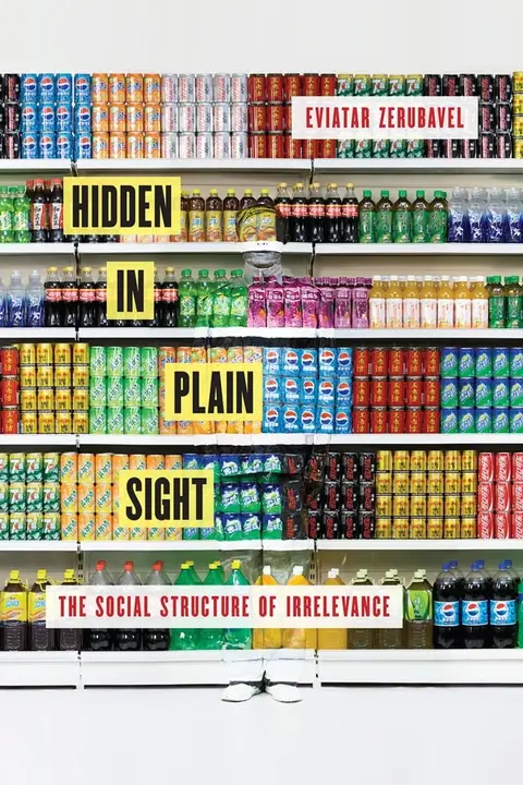 Cover of Hidden in Plain Sight