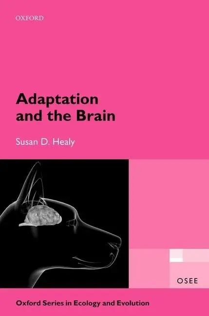 Cover of Adaptation and the Brain
