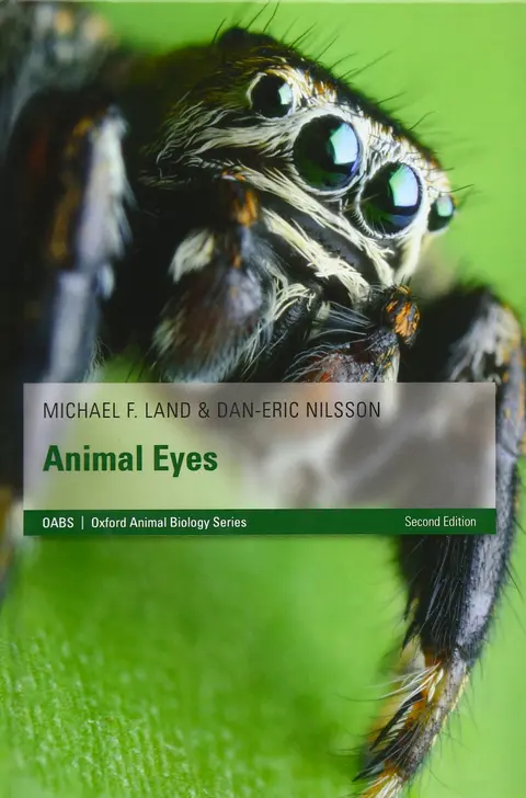 Cover of Animal Eyes