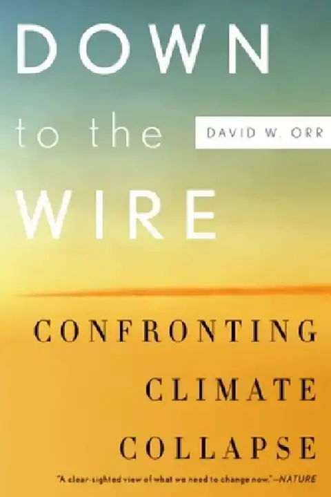 Cover of Down to the Wire