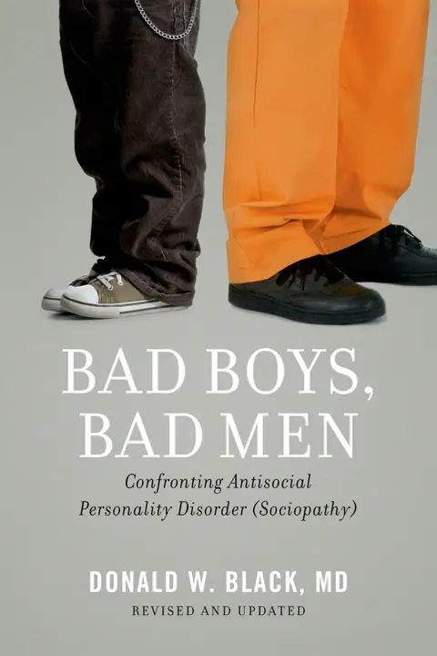 Cover of Bad Boys, Bad Men