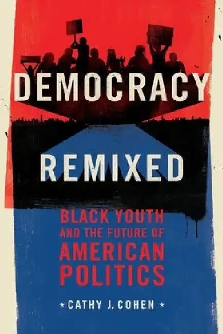 Cover of Democracy Remixed