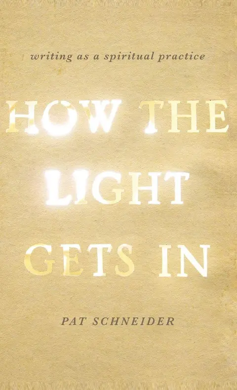 Cover of How the Light Gets in