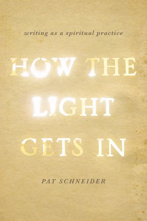 Cover of How the Light Gets in