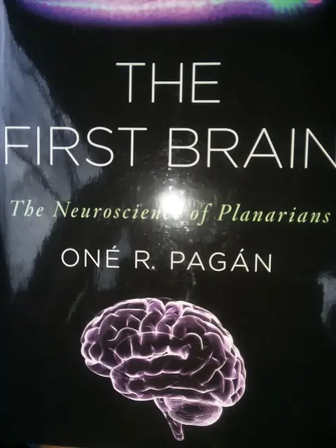 Cover of The First Brain