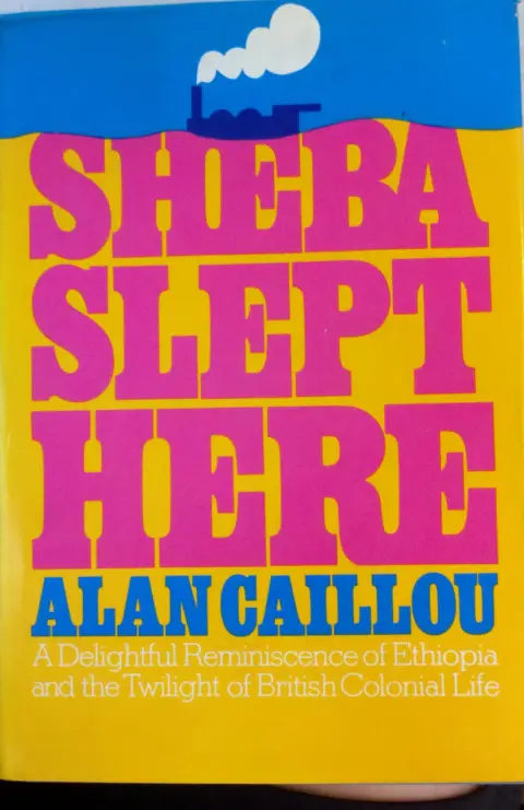 Cover of Sheba slept here