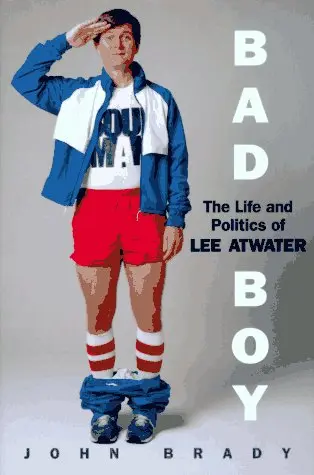 Cover of Bad Boy