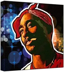 Cover of Imagining the Academy