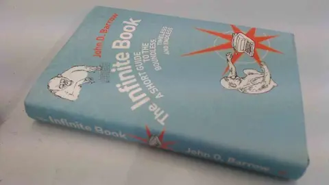 Cover of The Infinite Book
