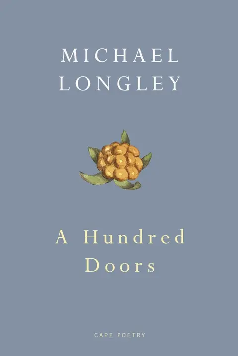 Cover of A Hundred Doors