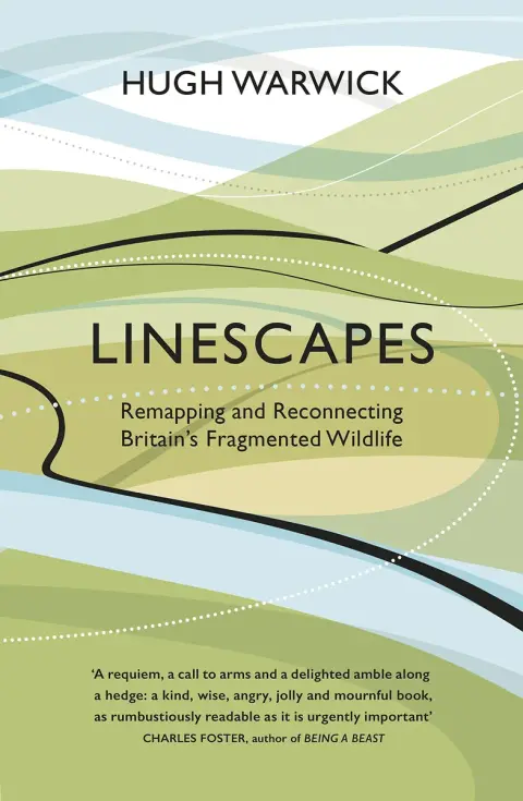 Cover of Linescapes