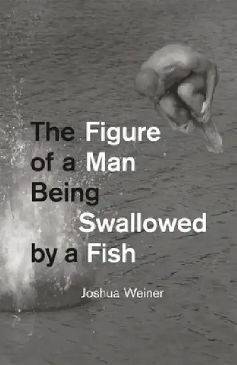 Cover of The Figure of a Man Being Swallowed by a Fish